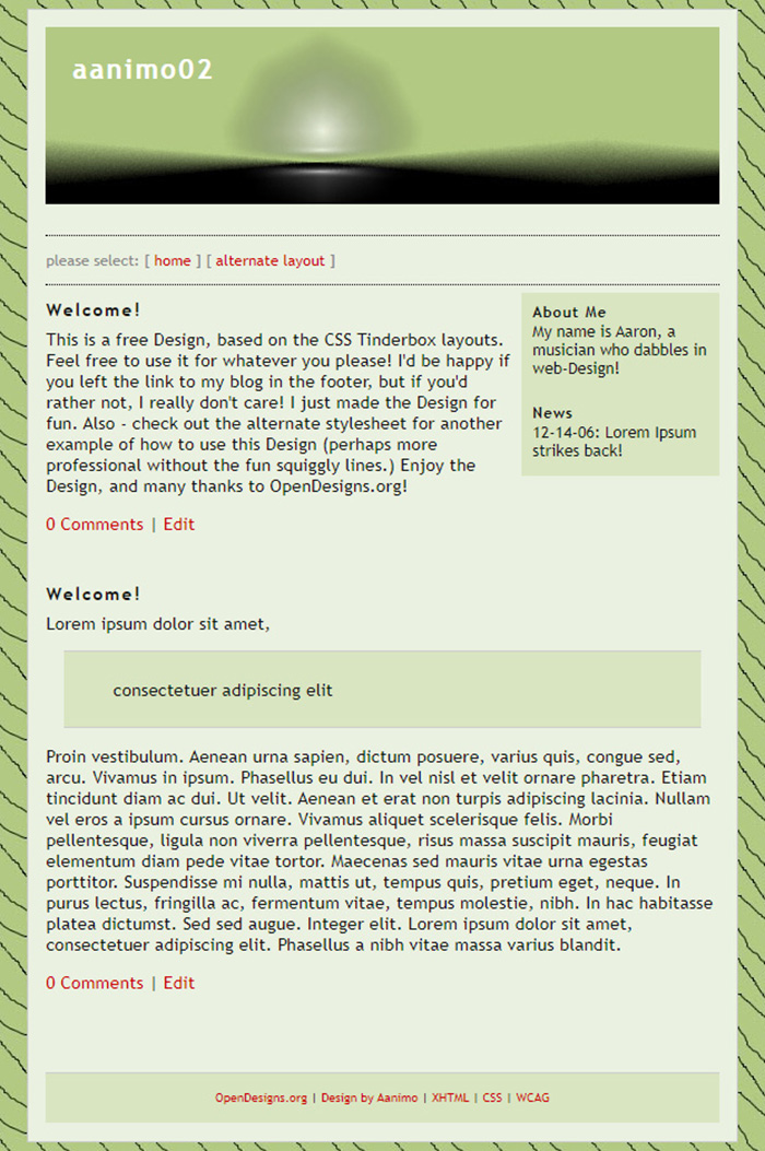 Free aanimo02 Website Template
