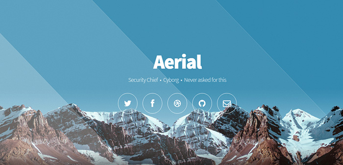Free Aerial Website Template