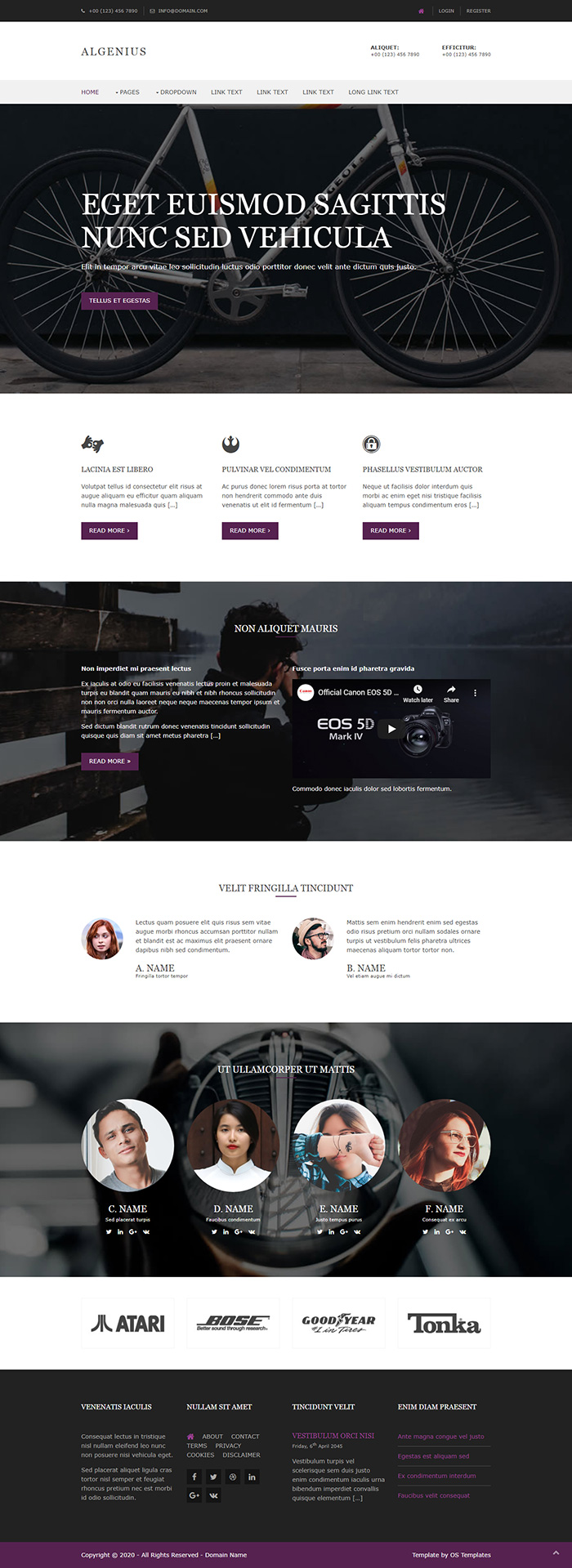 Free Algenius Website Template