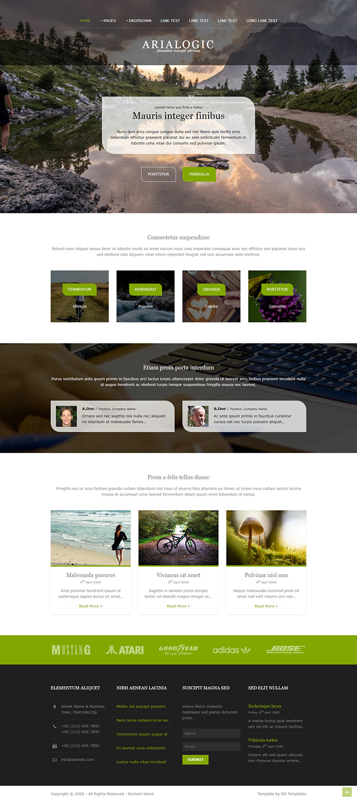 Free Arialogic Website Template
