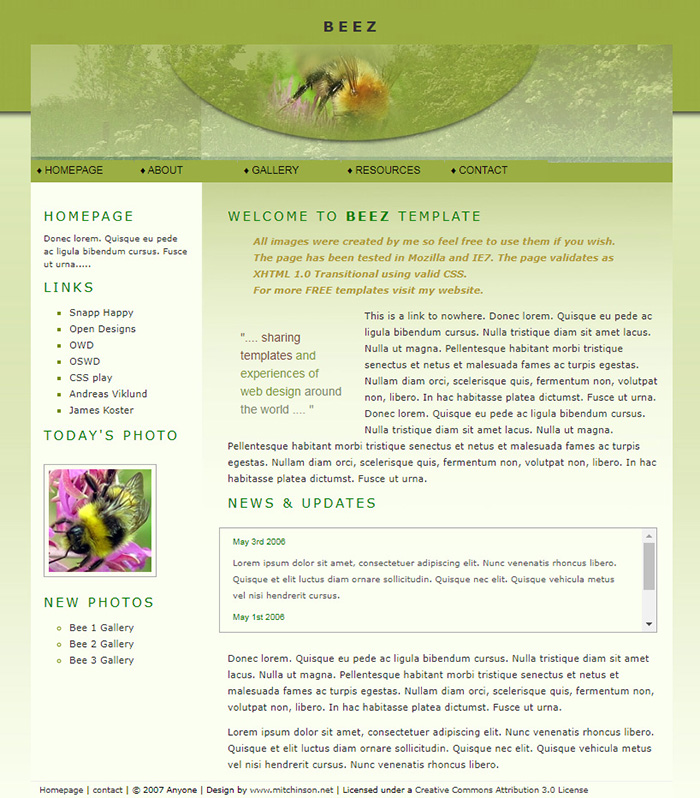 Free Beez Website Template