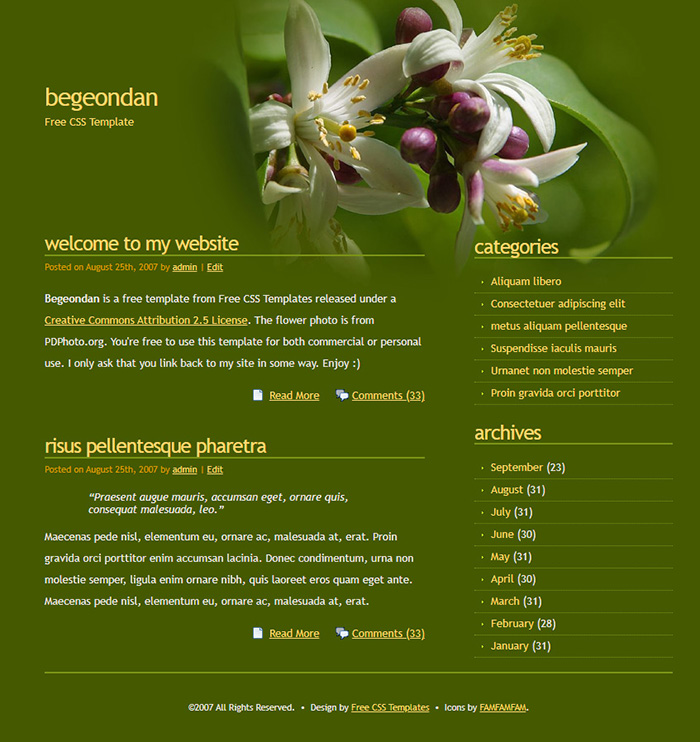 Free Begeondan Website Template