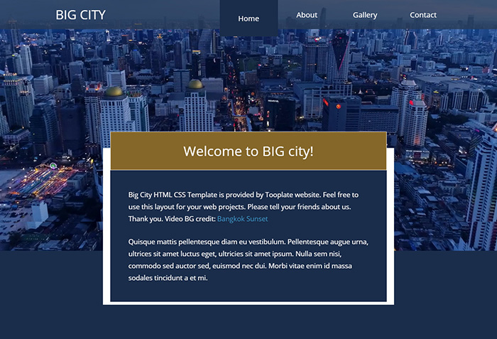 Free Big City Website Template
