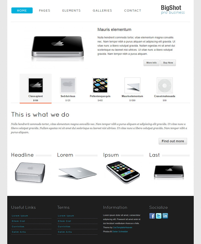 Free Bigshot Website Template