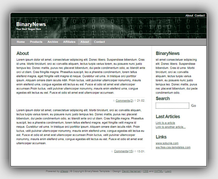 Free BinaryNews Website Template