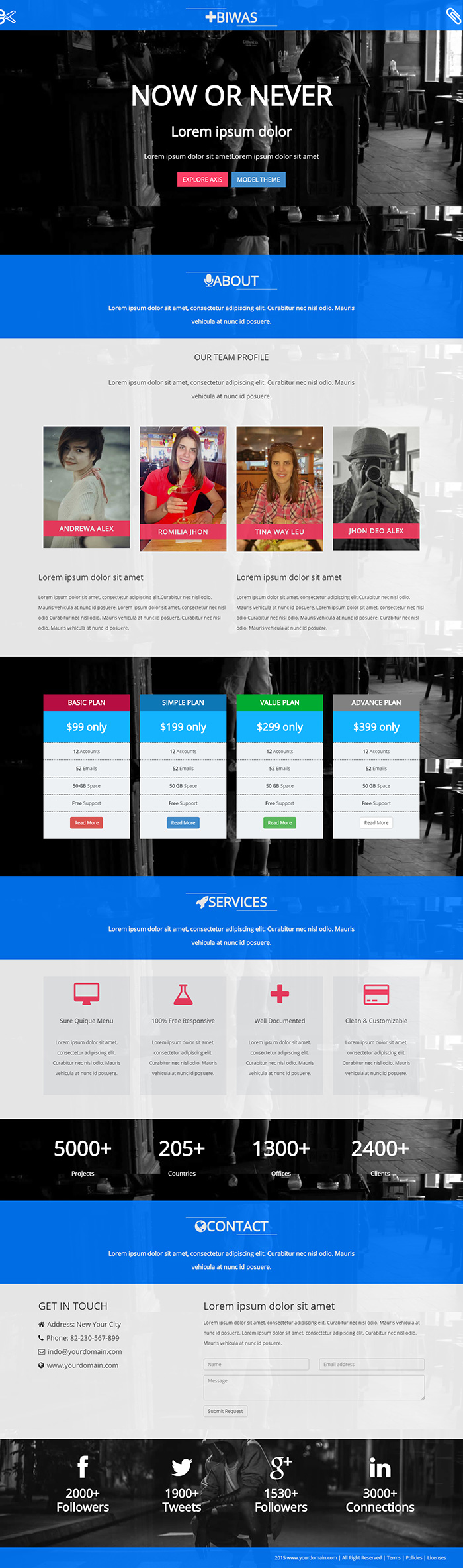 Free Biwas Website Template