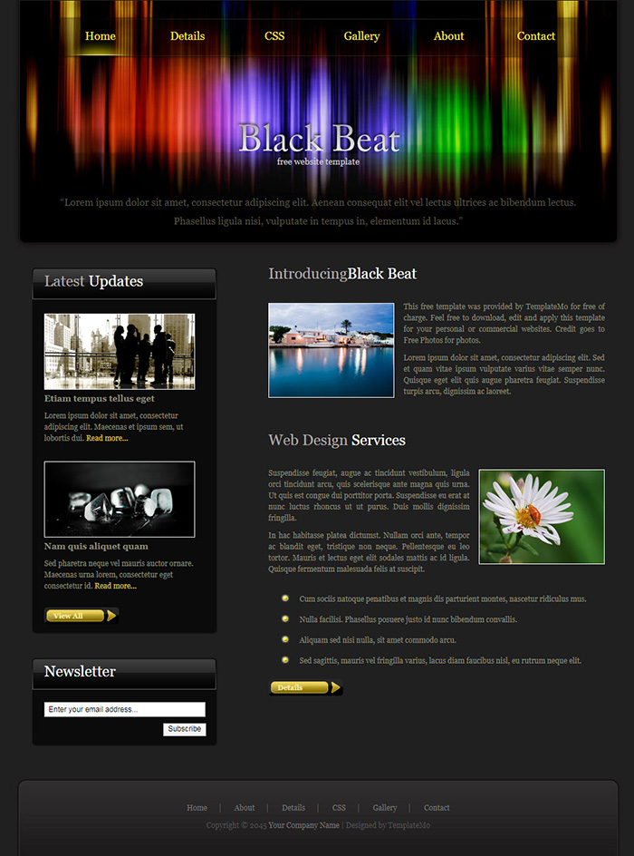 Free Black Beat Website Template