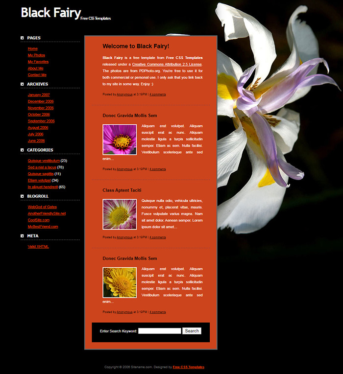 Free Black Fairy Website Template