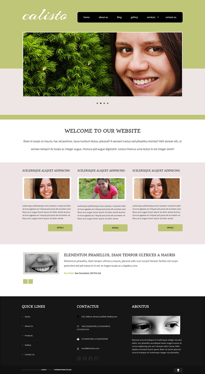 Free Calisto Website Template