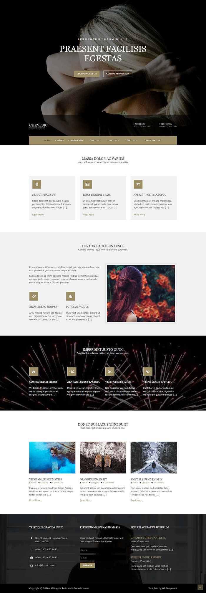 Free Chevesic Website Template