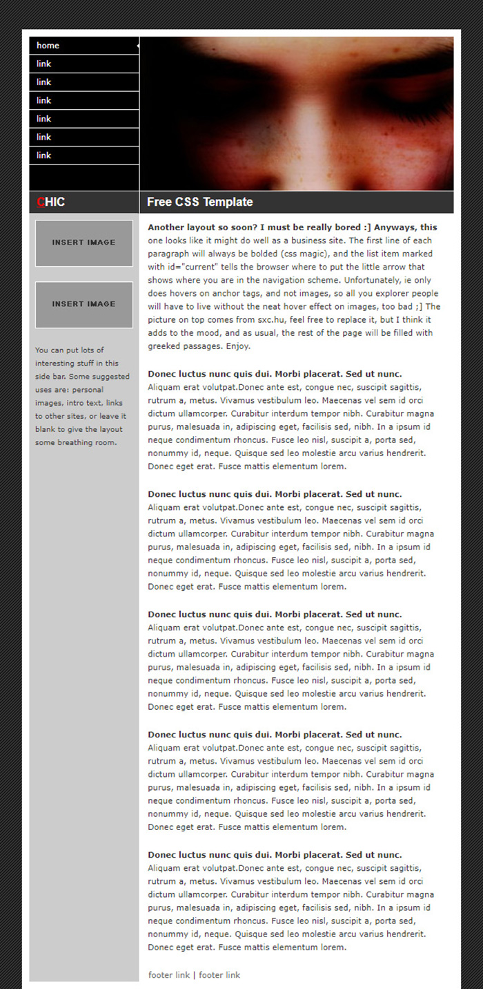 Free Chic Website Template