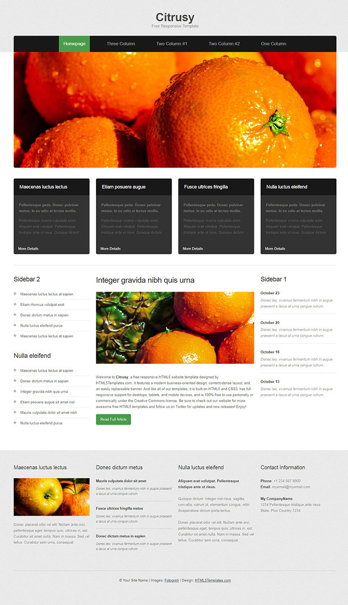 Free Citrusy Website Template
