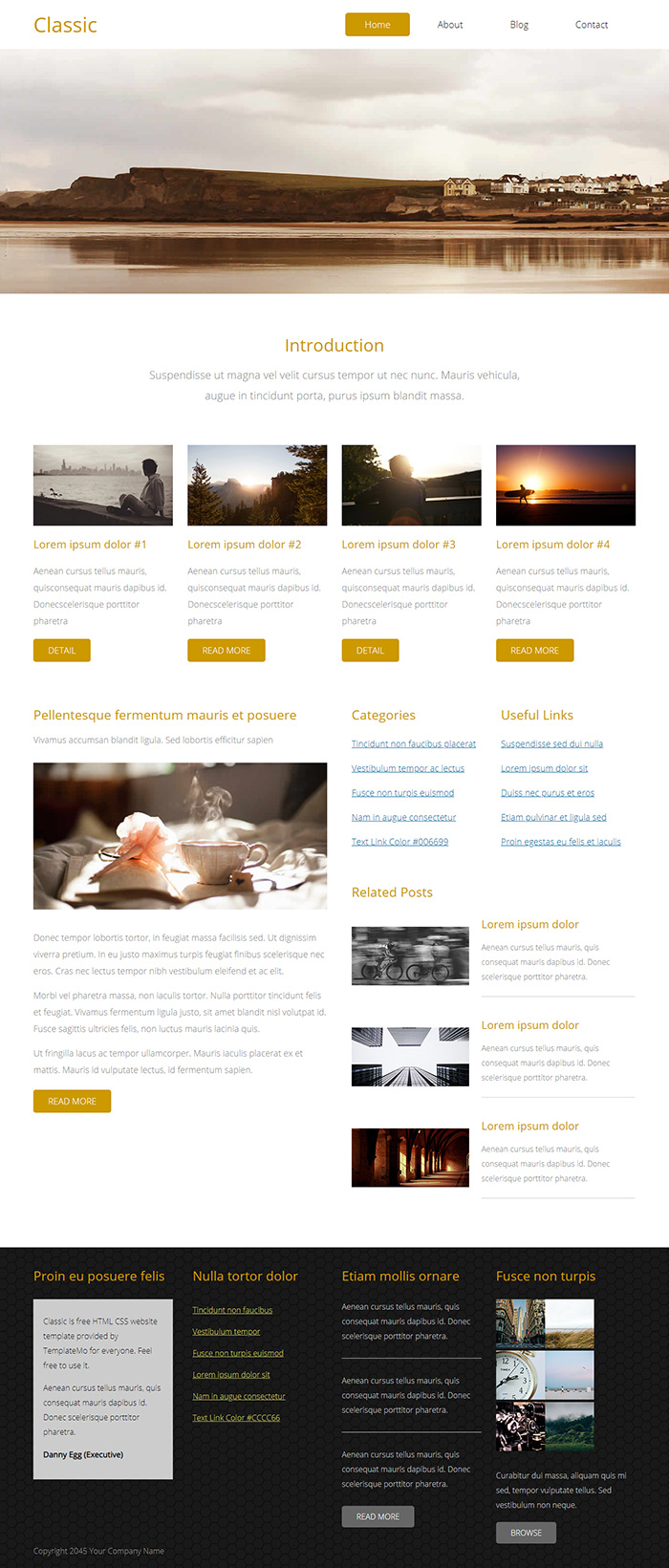 Free Classic Website Template