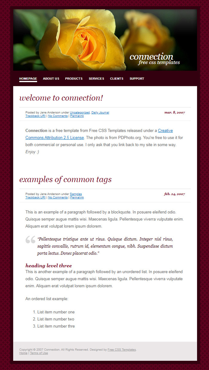 Free Connection Website Template