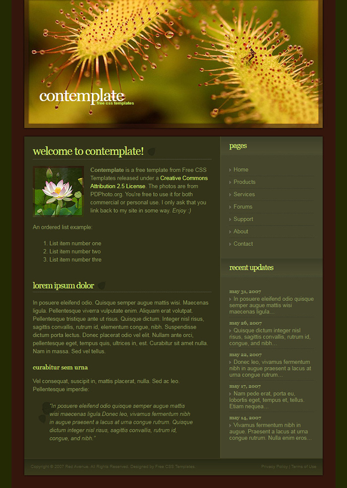 Free Contemplate Website Template