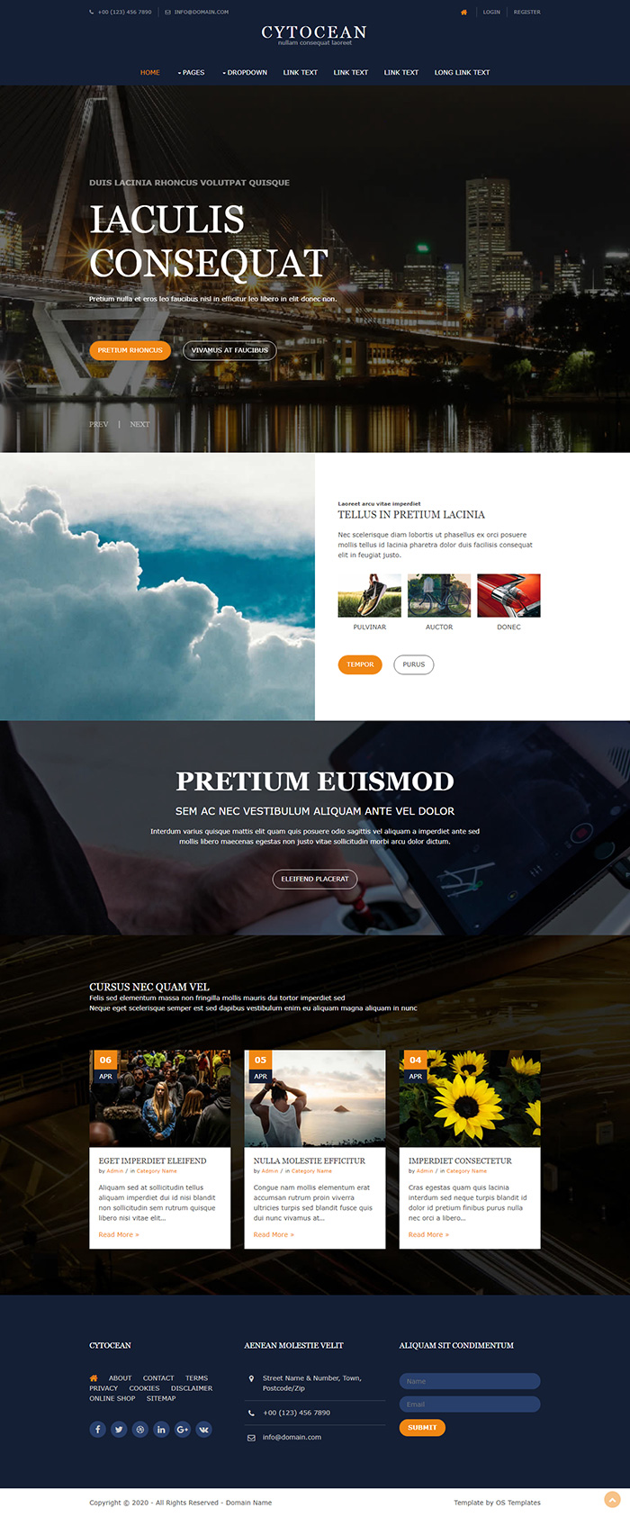 Free Cytocean Website Template