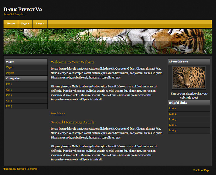 Free Dark Effect V2 Website Template