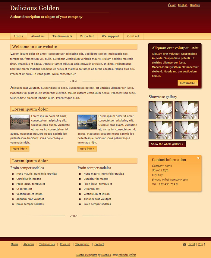 Free Delicious Golden Website Template