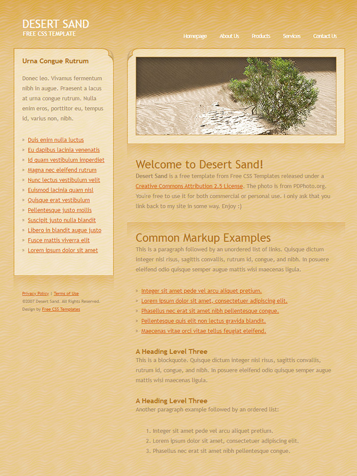 Free Desert Sand Website Template
