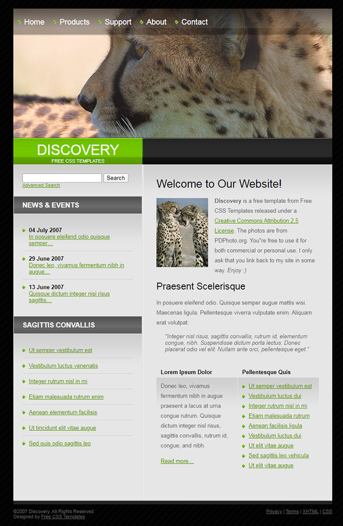 Free Discovery Website Template