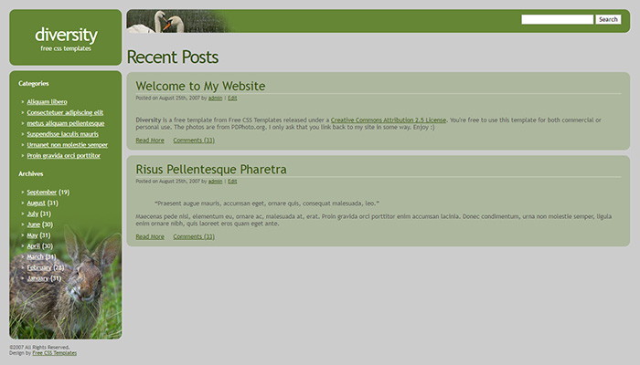 Free Diversity Website Template