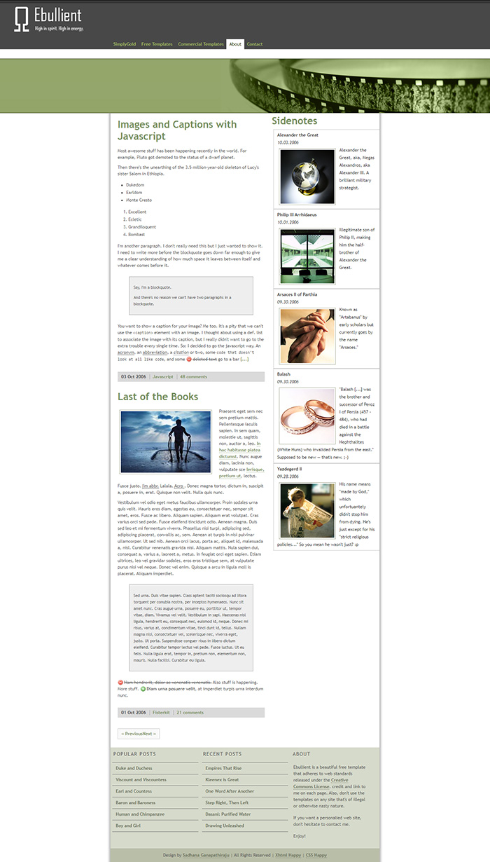 Free Ebullient Website Template