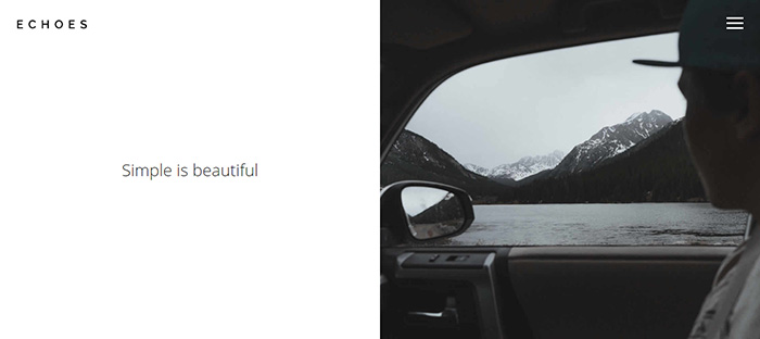 Free Echoes Website Template