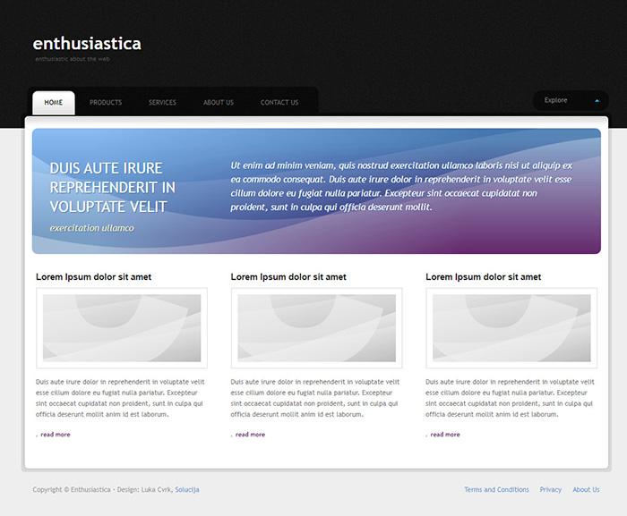 Free Enthusiastica Website Template