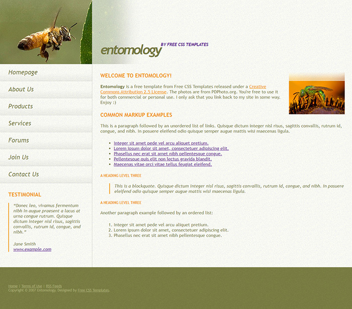 Free Entomology Website Template