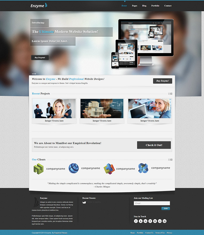 Free Enzyme Website Template