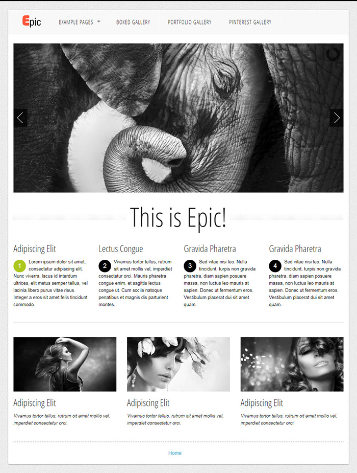 Free Epic Website Template