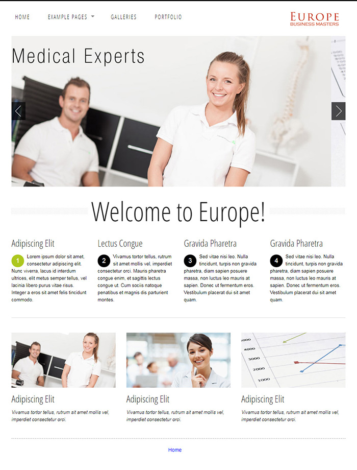 Free Europe Website Template