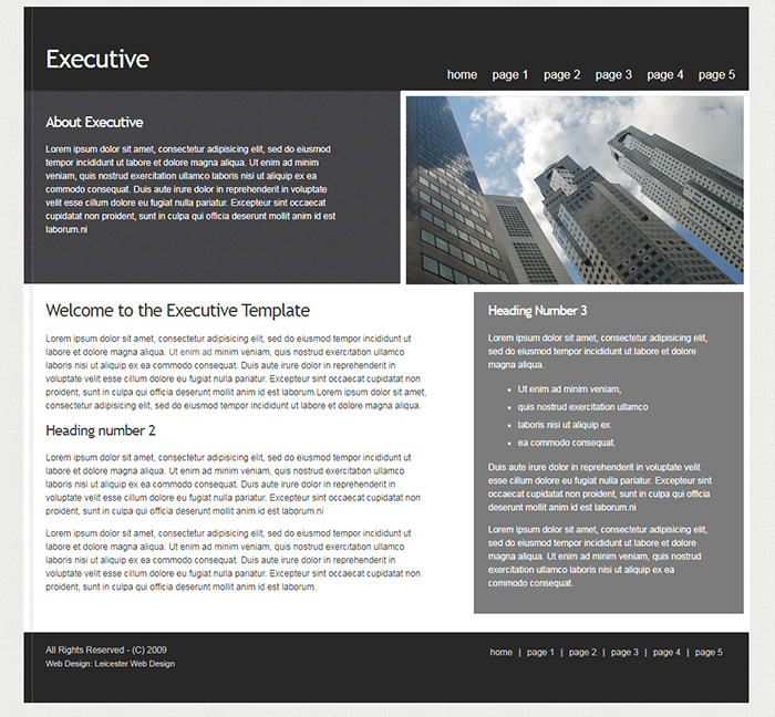 Free Executive Website Template