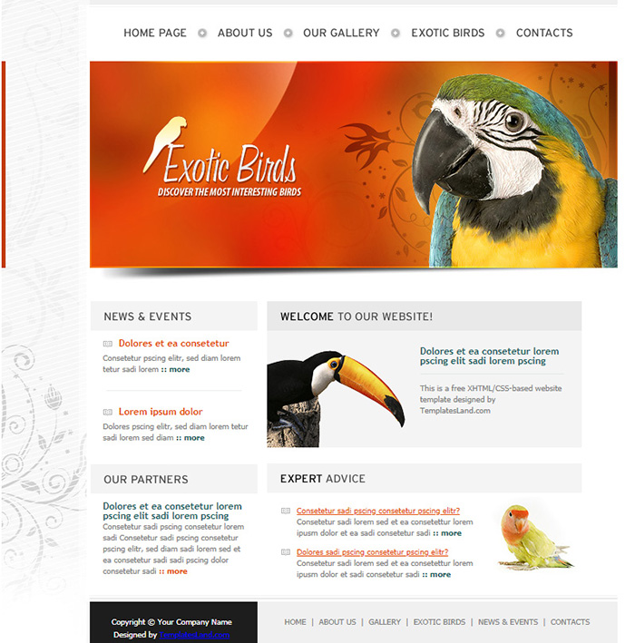 Free Exotic Birds Website Template