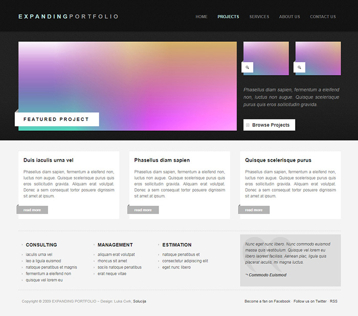 Free Expanding Portfolio Website Template