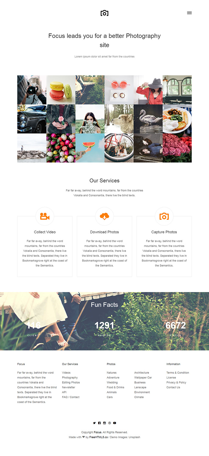 Free Focus Website Template
