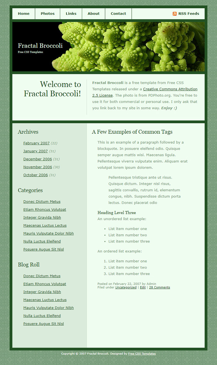 Free Fractal Broccoli Website Template