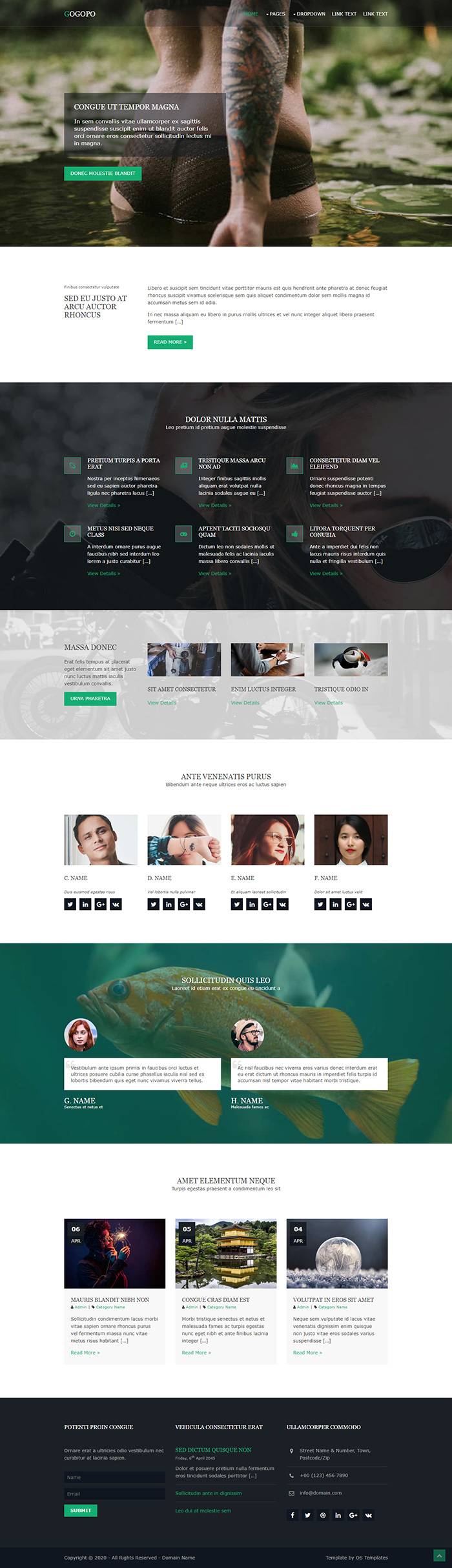 Free Gogopo Website Template