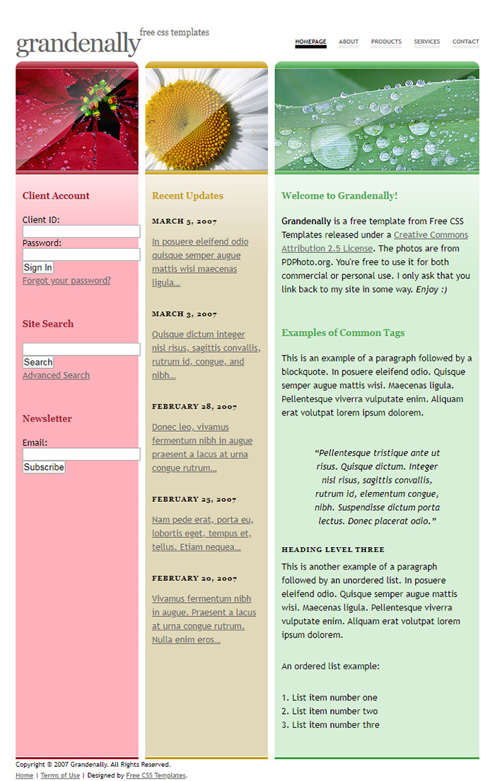 Free Grandenally Website Template
