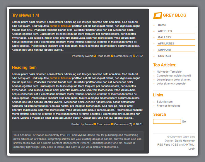 Free Grey Blog Website Template