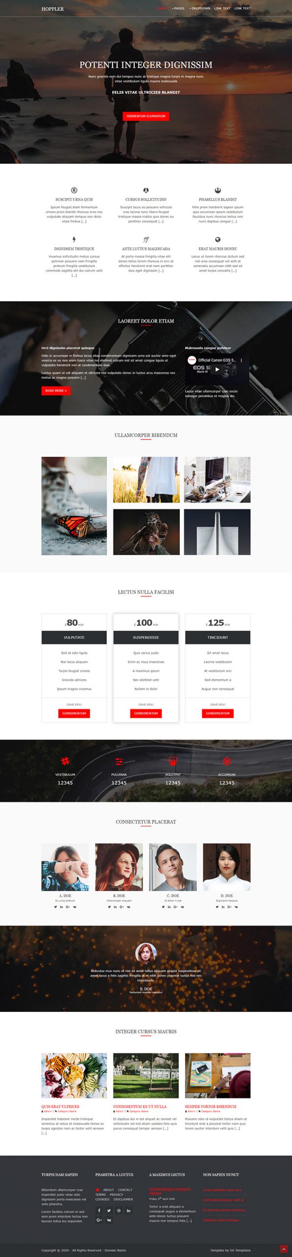 Free Hoppler Website Template