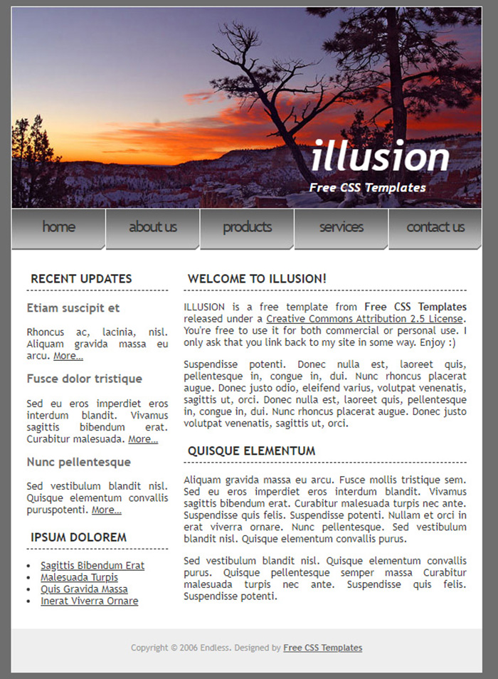 Free Illusion Website Template