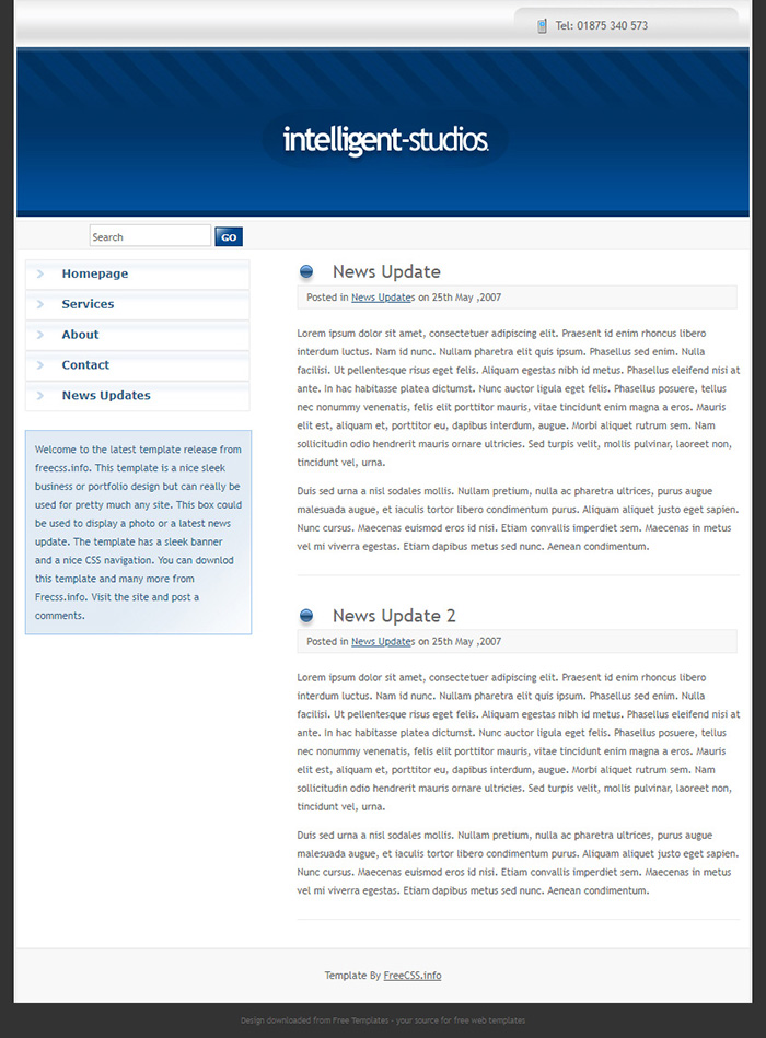 Free Intelligent Studios Website Template