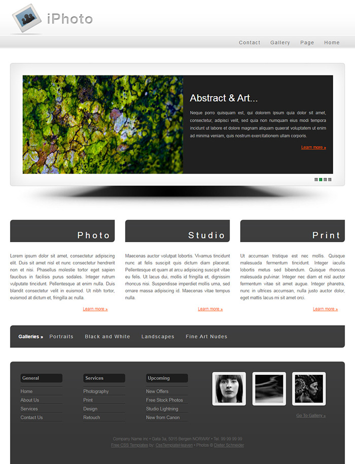 Free iPhoto Website Template
