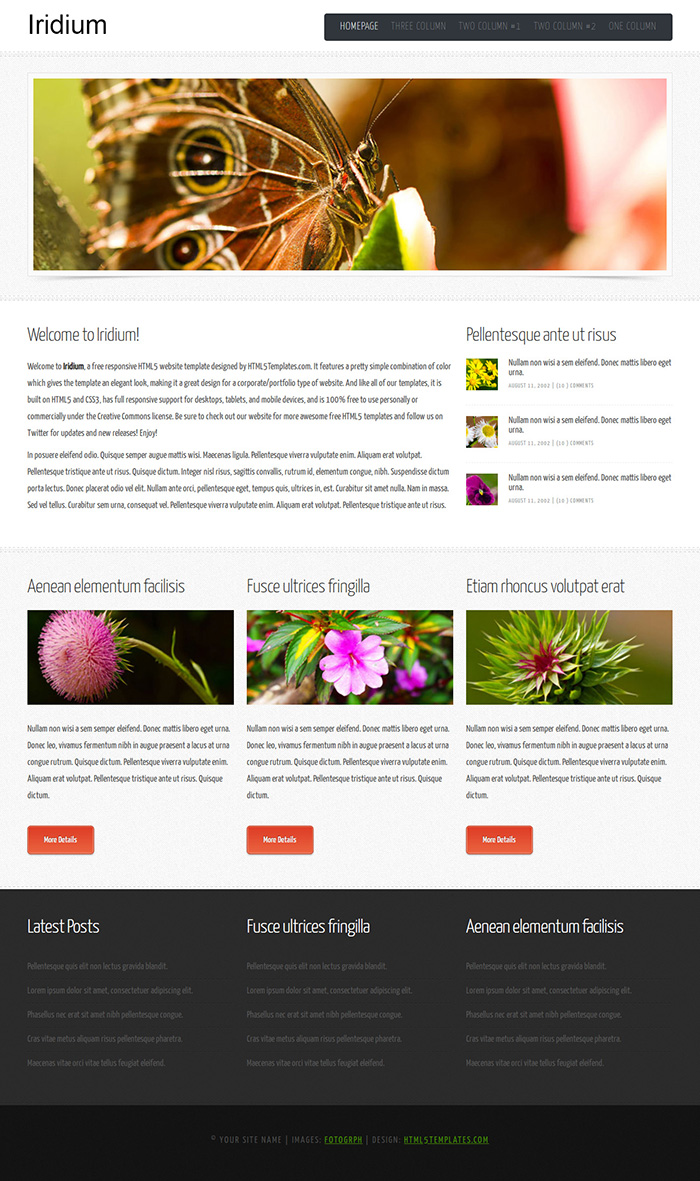Free Iridium Website Template