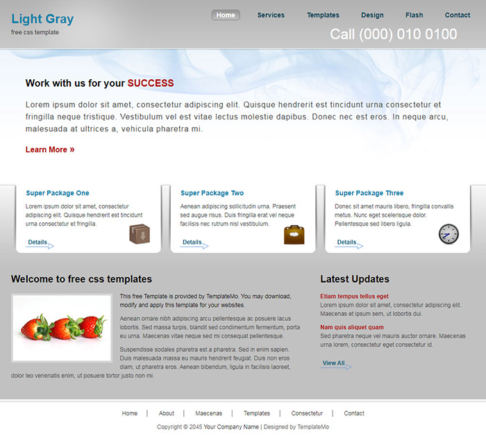Free Light Gray Website Template