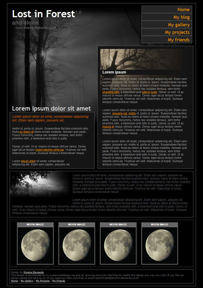 Free Lost in Forest 1 0 Website Template Free Website Templates