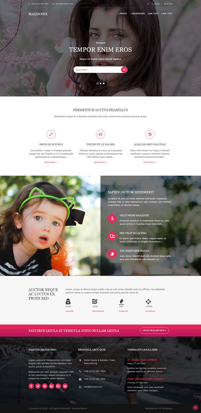Free Maxisonix Website Template