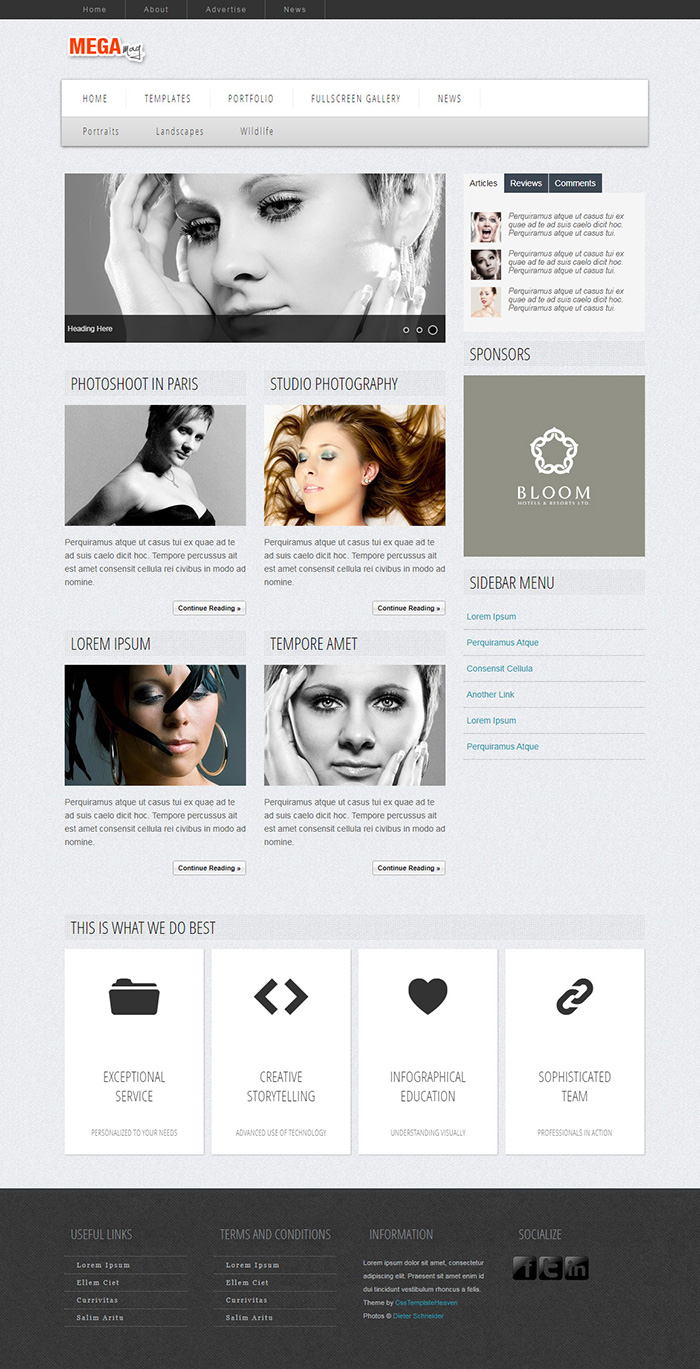 Free MegaMag Website Template
