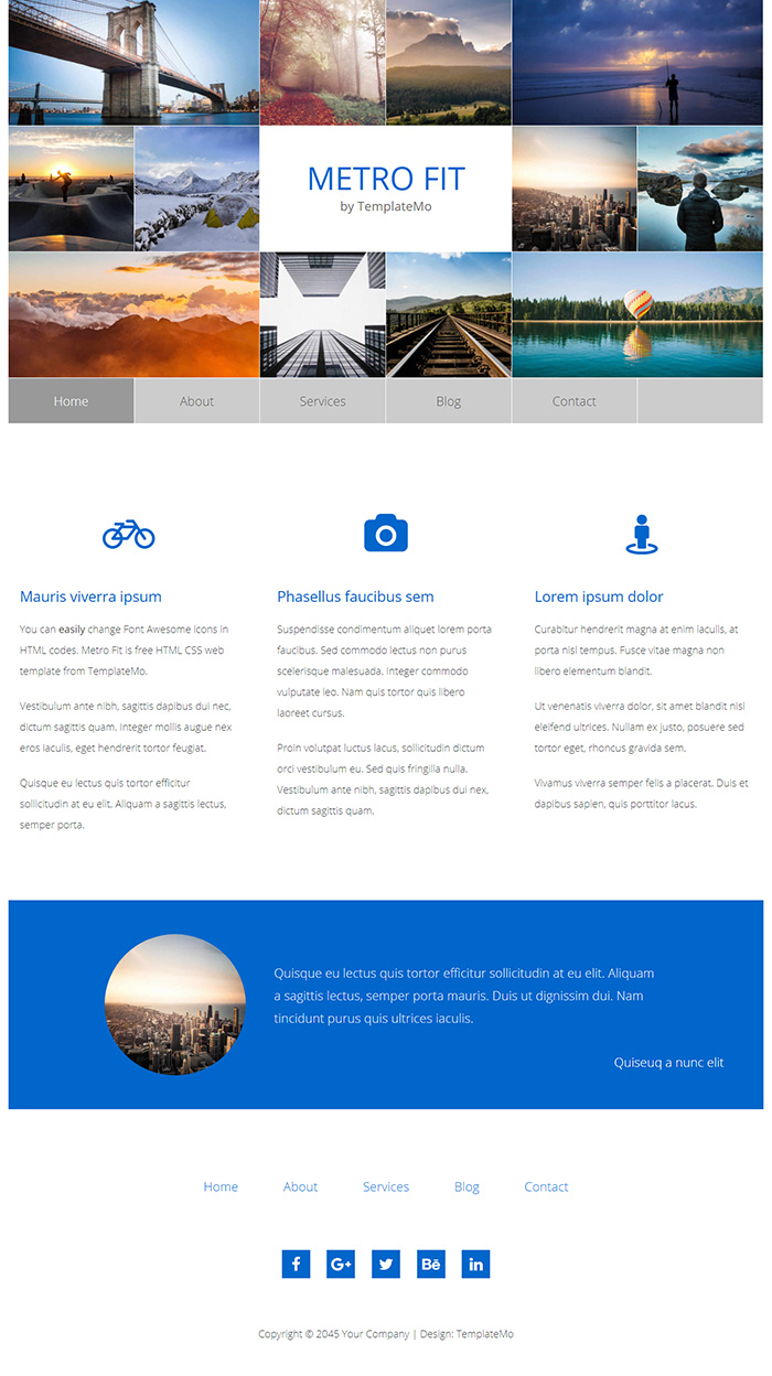 Free Metro Fit Website Template